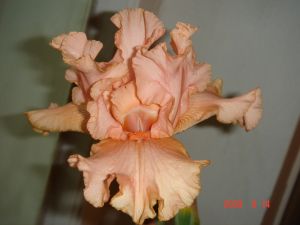 Ла Вальс